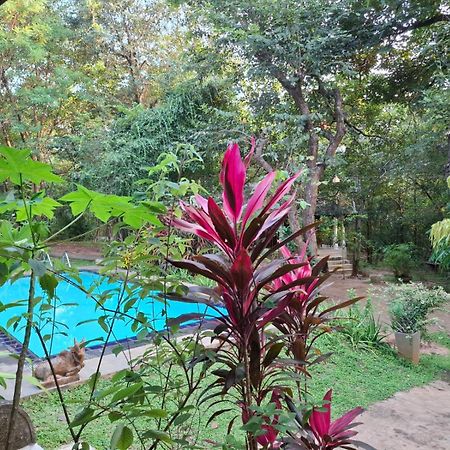 Villa Habarana Dış mekan fotoğraf