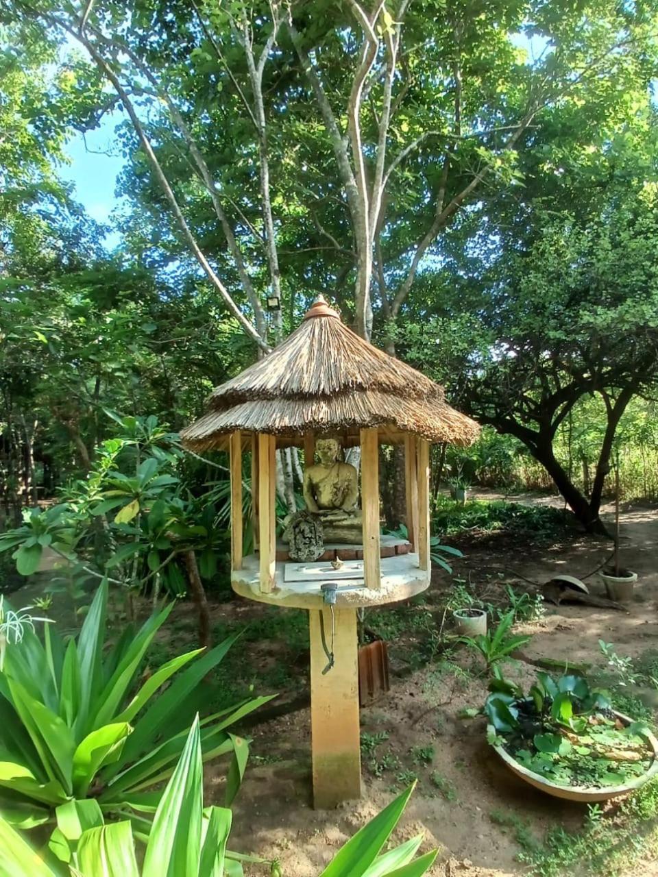 Villa Habarana Dış mekan fotoğraf