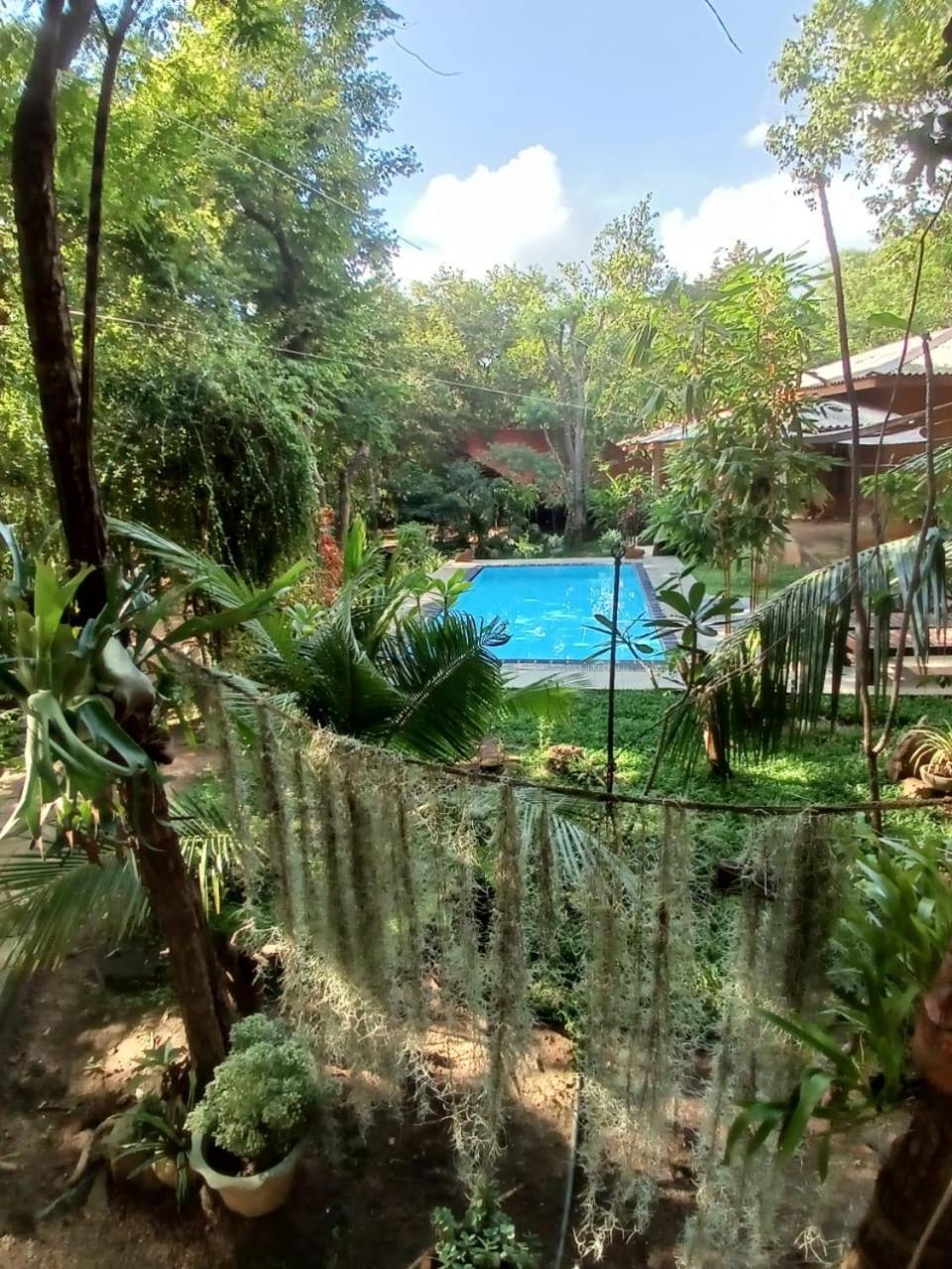 Villa Habarana Dış mekan fotoğraf